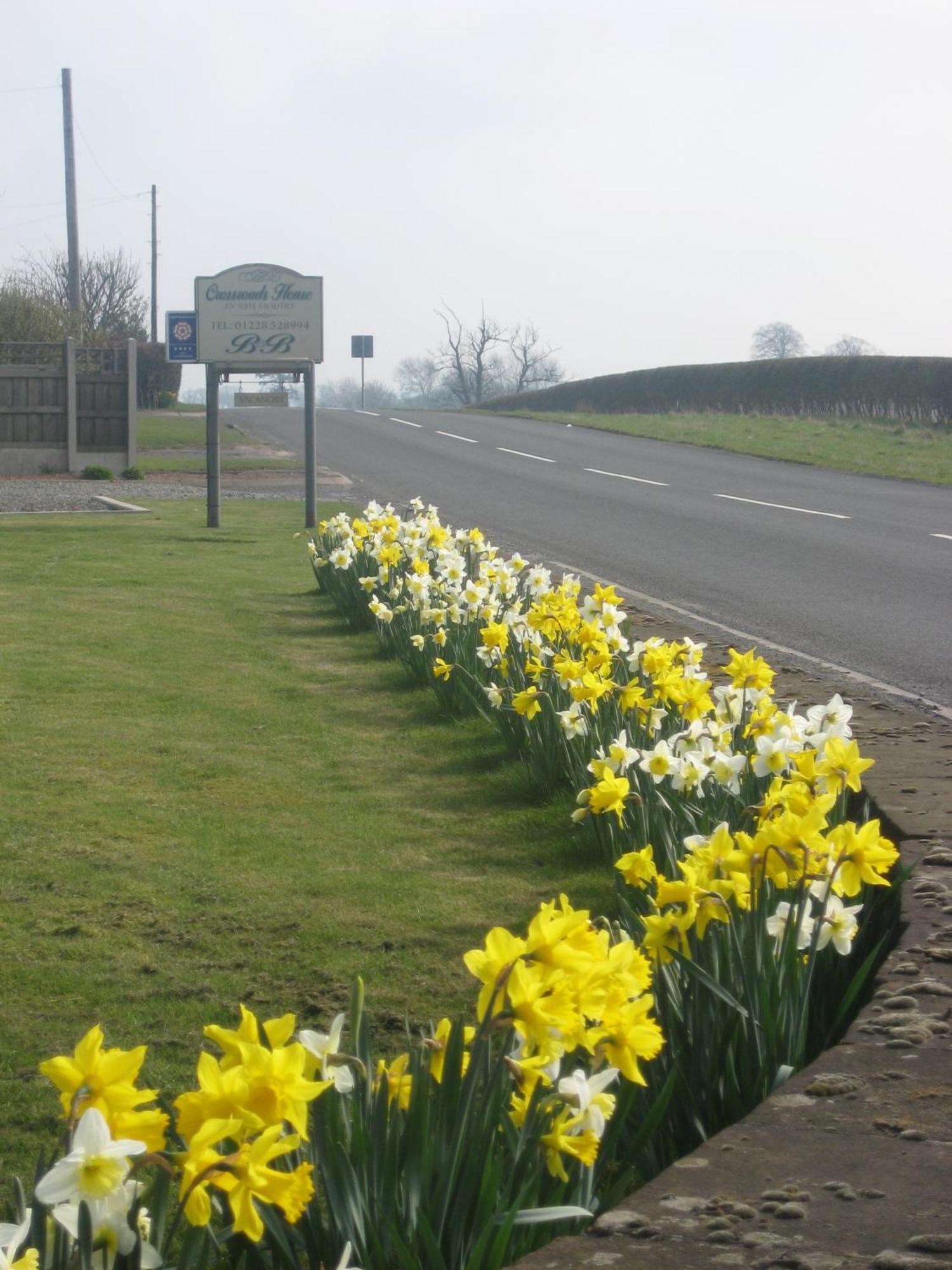 Crossroads House Hotel Carlisle  Buitenkant foto